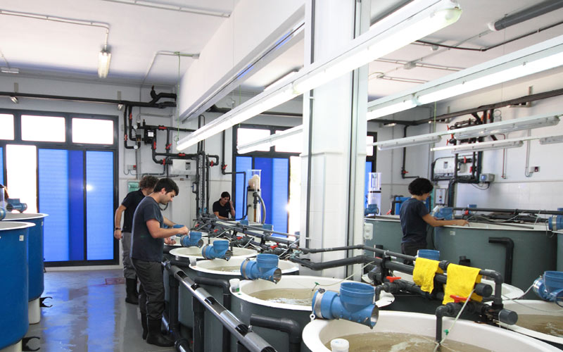 El Ctaqua en El Puerto se “afianza” como un centro de apoyo a la formación de los futuros profesionales de la acuicultura