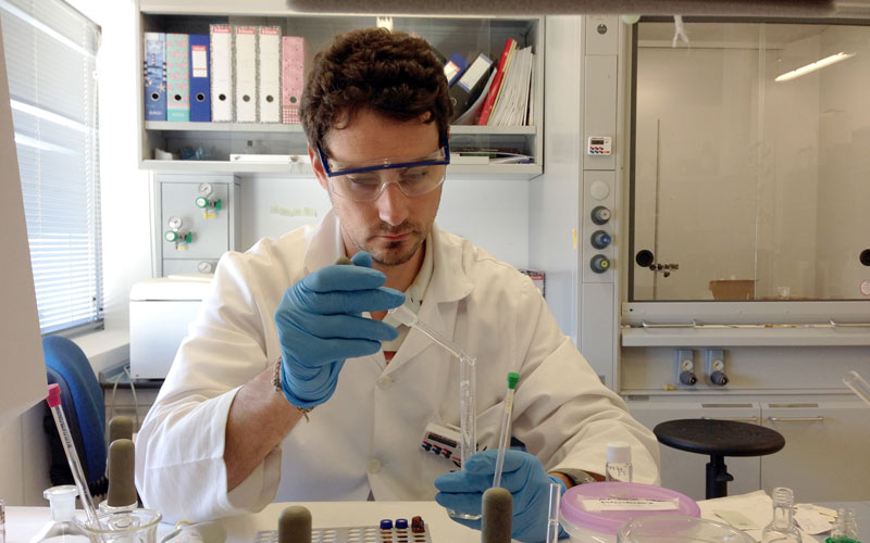 La Real Sociedad Española de Química premia una tesis doctoral de un investigador de la Universidad de Cádiz