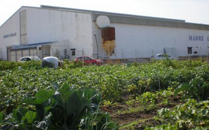 Madre Coraje ofrece parcelas libres en su “huerto solidario” de Guadalcacín a voluntarios interesados en la agricultura