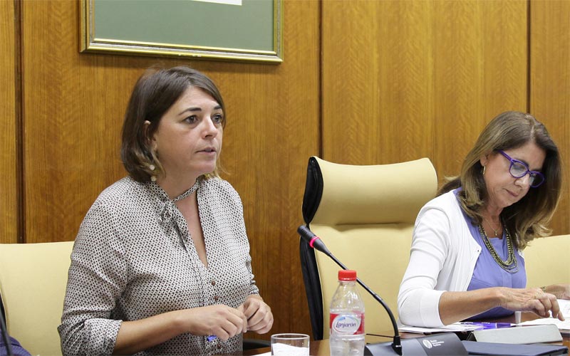 Cortés insta al Gobierno central a “liberar ya” la autopista AP-4 y no esperar hasta 2019 ni invertir ahora en la duplicación de la N-IV