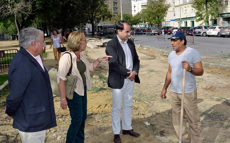 Las obras de reforma del acerado en la calle Cádiz Salvatierra contribuirán a evitar el riesgo de caída de árboles