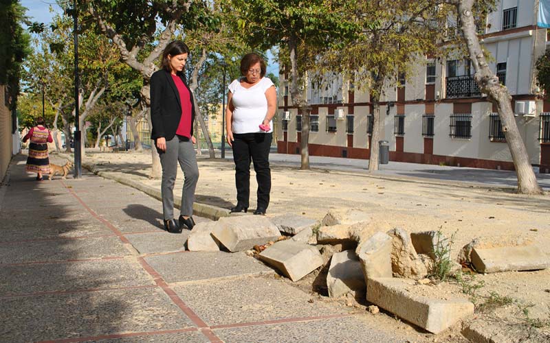 El PSOE se queja del “lamentable aspecto” de los accesos al IES Botánico y acusa al Ayuntamiento de “desinterés por la educación”