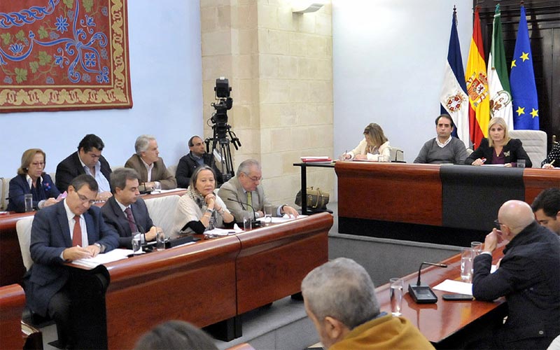 Onda Jerez se “salvará” cerrando como empresa municipal y pasando a ser gestionada directamente por el Ayuntamiento