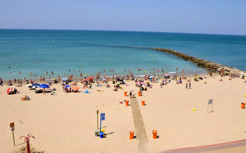 Investigadores de la UCA registran una nueva especie de molusco que habita en la playa de Santa María del Mar de Cádiz