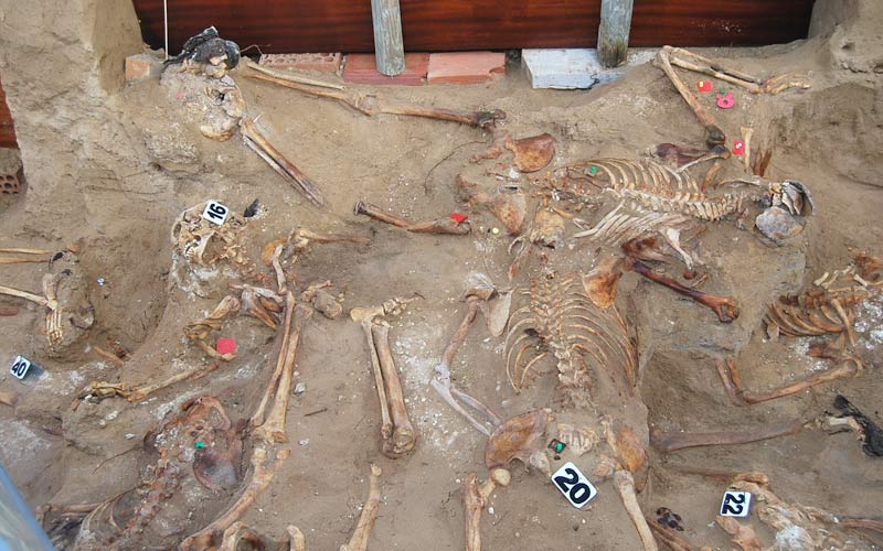 La Asociación de Memoria Histórica da a conocer con unas jornadas la excavación que se lleva a cabo en la fosa común del cementerio