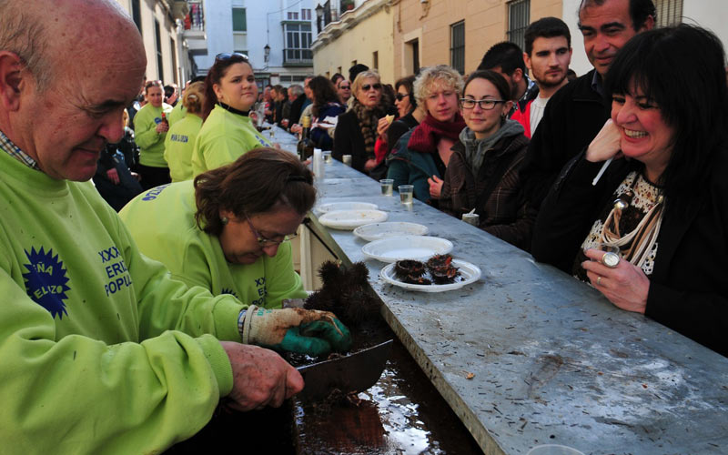Pestiñada, Erizada y Ostionada abren este fin de semana el pre-Carnaval de Cádiz 2015