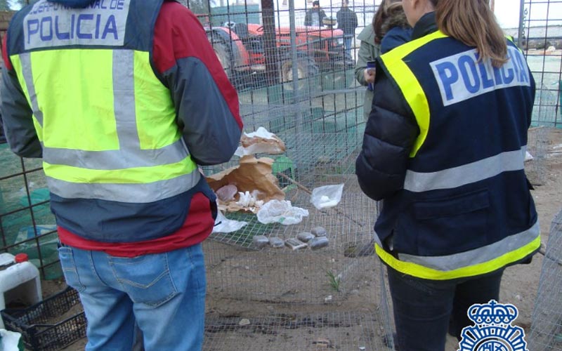 Caen tres grupos asentados en Puerto Real, Sanlúcar y Jerez dedicados al tráfico de drogas en la provincia gaditana