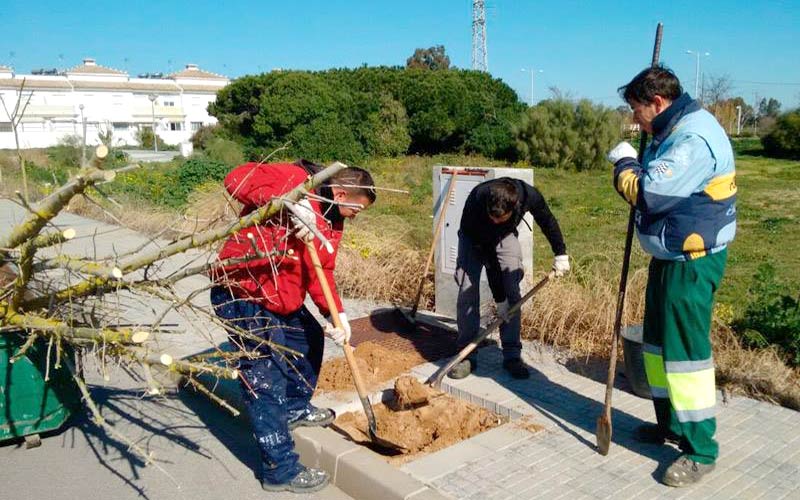 En marcha la reposición anual del arbolado