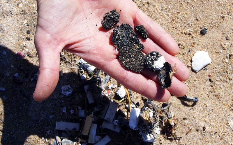 Colectivos ecologistas hacen limpieza en la playa de la Costilla y llenan varias bolsas de alquitrán mezclado con arena