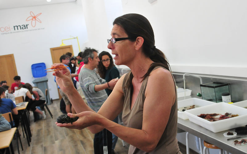 El Laboratorio de Investigación Marina en el castillo de San Sebastián arranca su programación divulgativa con conferencias