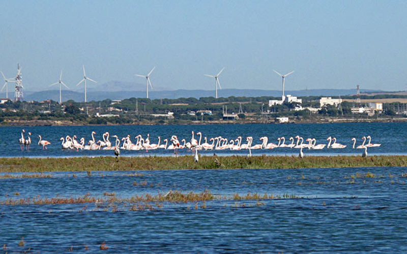 IU aboga en su programa ‘medioambiental’ por dar protagonismo al Parque Natural y por remunicipalizar la recogida de basuras