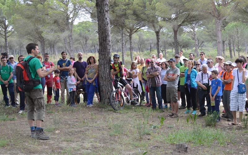 Toniza organiza un paseo por el Pinar de Hierro para mostrar sus valores ambientales y “las amenazas ante el nuevo PGOU”