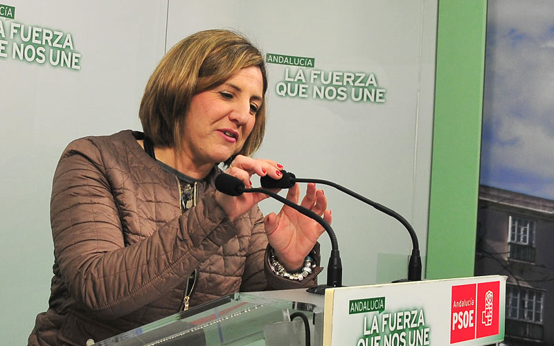 Los socialistas gaditanos dicen mantener una “voluntad de diálogo” tras el 24-M que “no aprecia” ni en Podemos ni en IU