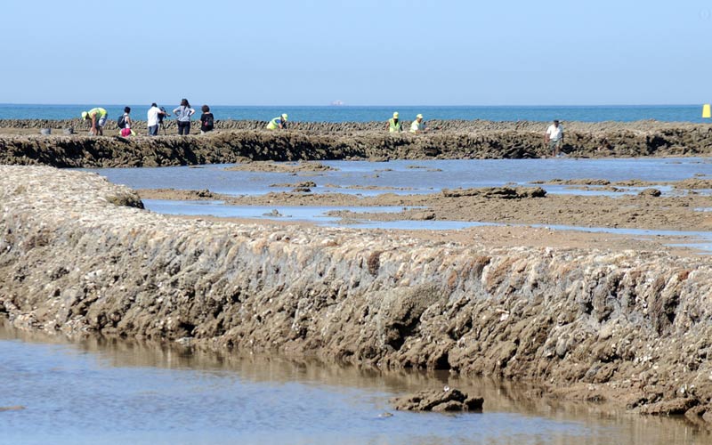 La Junta invierte 120.000 euros en recuperar y reconstruir los muros dañados de los corrales de Rota