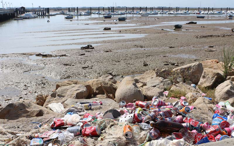 Falta de limpieza en el muelle de Gallineras “por culpa de la Junta”