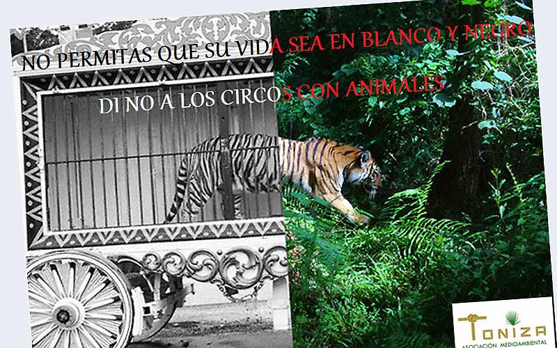 Convocada una protesta contra el Circo Alaska, instalado estos días en Chiclana, por mantener espectáculos con animales
