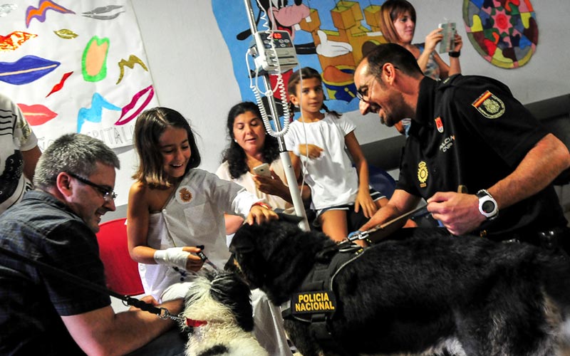 Menores hospitalizados en el Puerta del Mar disfrutan de la visita de perros policías