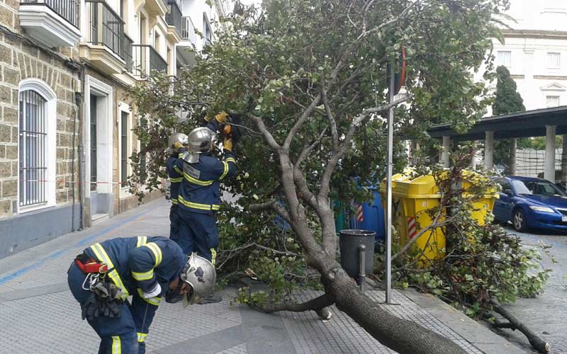 El fuerte viento por la mañana y las lluvias de la tarde mantienen a los bomberos activos este domingo: cerca de 200 intervenciones