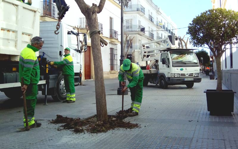 Comienza la plantación de más de 200 árboles en el casco urbano
