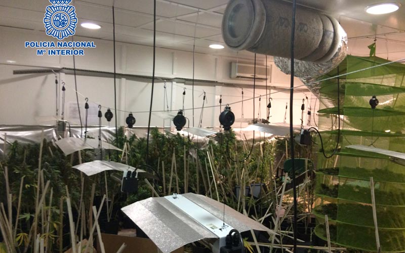 Descubierta en Jerez una nave industrial reconvertida en invernadero, destinada al cultivo y procesamiento de marihuana