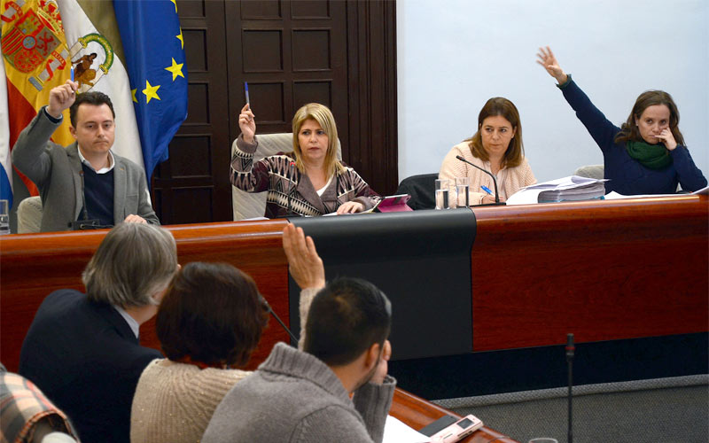 Jerez contará con un Consejo Local del Motor como un órgano de participación de un sector relevante para la economía de la ciudad