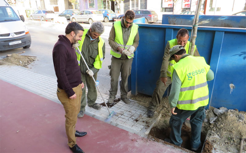 El Ayuntamiento prevé replantar 3.000 árboles en distintas zonas de Jerez hasta 2019; empieza con 70 pinos en la Laguna de Torrox