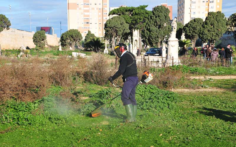 Comienzan en el cementerio los trabajos de exhumación de víctimas de la Guerra Civil: “era una cuestión de voluntad política”