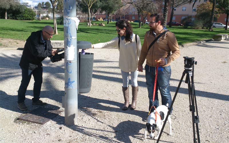 Una campaña municipal incidirá en las multas existentes para los dueños de perros que no recojan las heces de sus mascotas