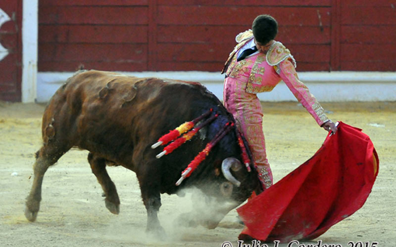 Menos espectáculos taurinos en la provincia de Cádiz en 2015 pero más espectadores