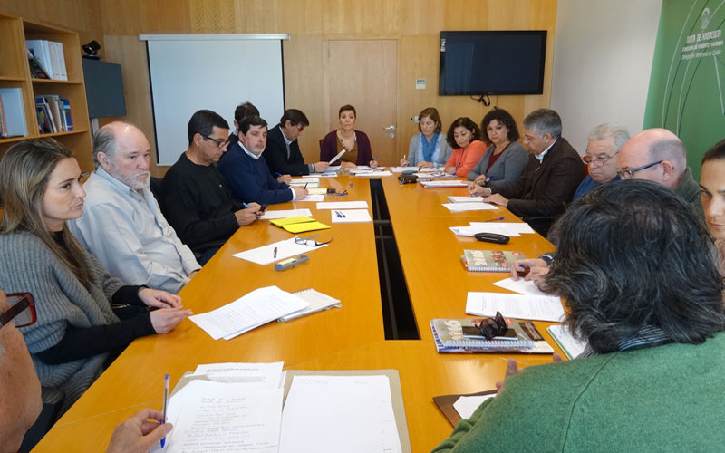 Ayuntamiento, Junta y colectivos sociales crean un foro de debate para buscar soluciones a los problemas de la vivienda en Cádiz