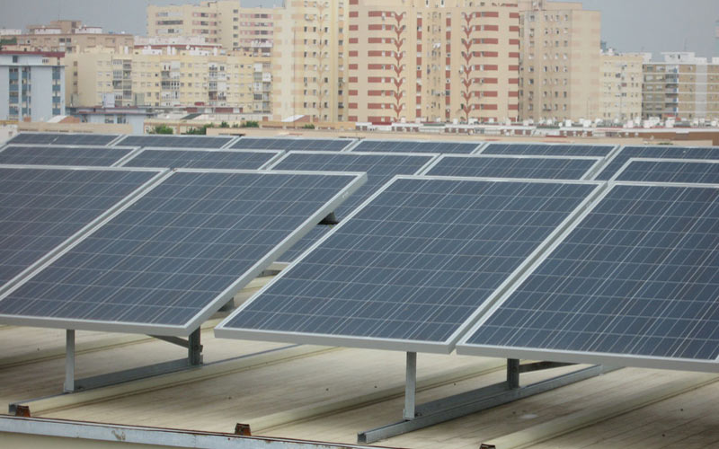Equo reclama un plan de fomento del empleo verde para luchar contra el gris panorama laboral de la provincia de Cádiz