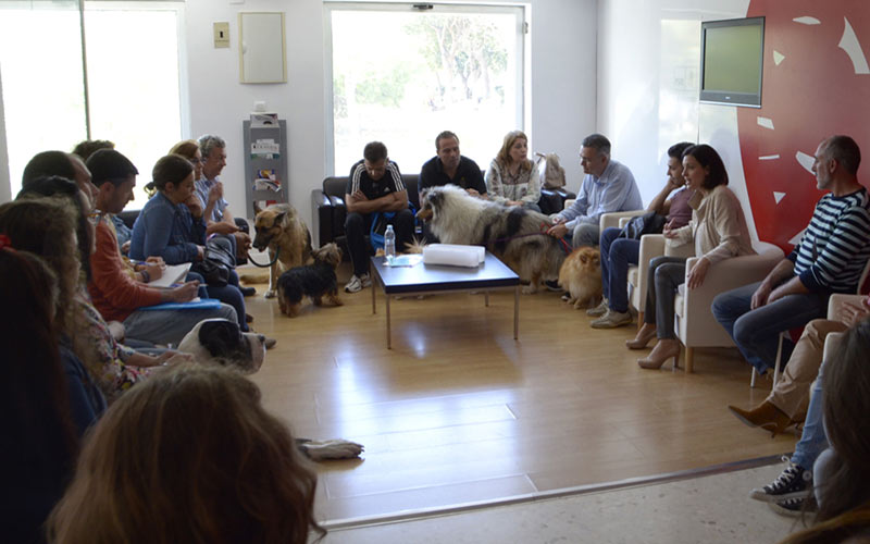 Colectivos animalistas respaldan la propuesta del PSOE isleño de dedicar un monumento a amantes y protectores de los animales