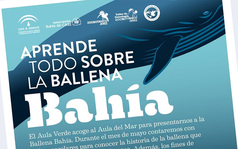 Escolares visitan estas semanas el centro comercial Bahía Sur para conocer el caso de la ballena ‘Bahía’
