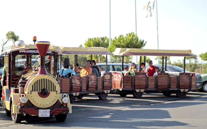 Dos trenecitos ‘descubren’ el centro y Valdelagrana este verano