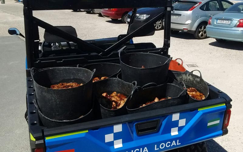 Incautada más de una tonelada de holoturias en tres meses
