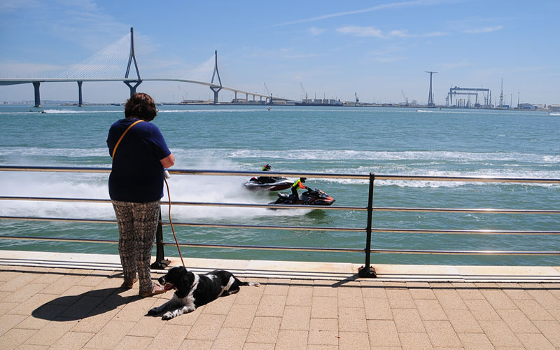 Ciudadanos plantea la celebración de una media maratón que discurra por los dos puentes de la Bahía para “promocionar” Cádiz