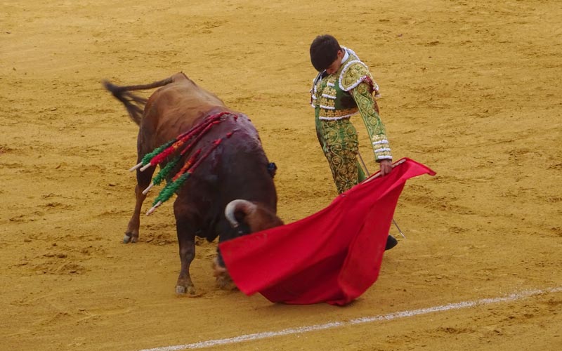 Sólo oreja para Daniel Crespo con buenos Peñajaras