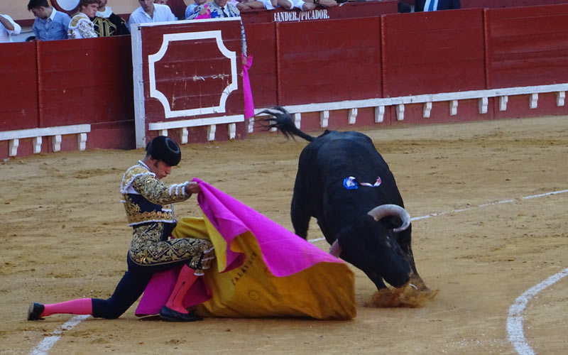 Lo que el viento se llevó