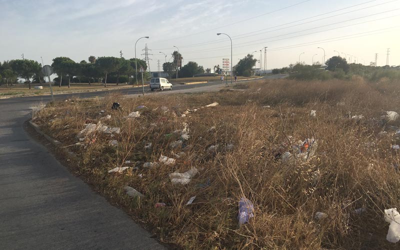 Urgen al Ayuntamiento a activar un plan de limpieza y mantenimiento de las zonas verdes desatendidas
