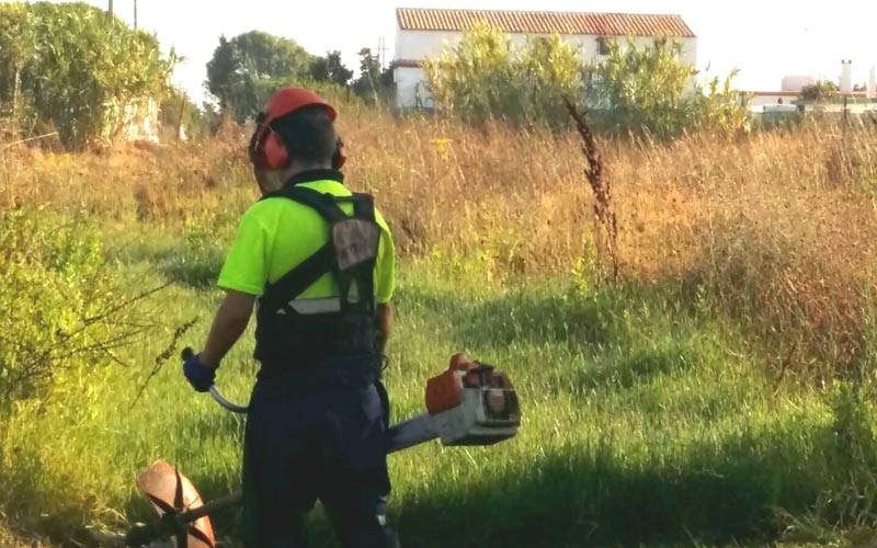Limpieza de choque para acondicionar caminos, cañadas y cauces de arroyos de cara al otoño y las lluvias