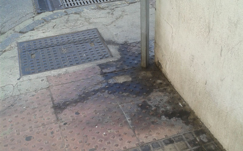 Reclaman una ordenanza de convivencia para combatir la imagen de una ciudad “asediada por micciones y defecaciones caninas”