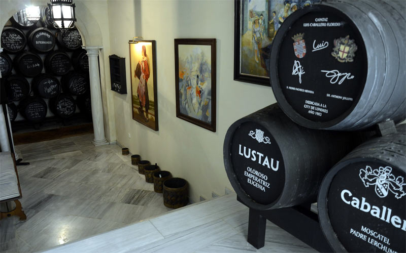 La Bodeguita del Ayuntamiento se abre por primera vez a todos