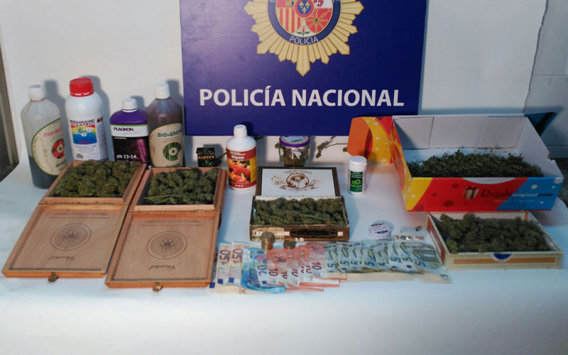 Una veintena de detenidos entre Jerez y El Puerto por el cultivo de marihuana, “delito que se castiga con hasta tres años de cárcel”