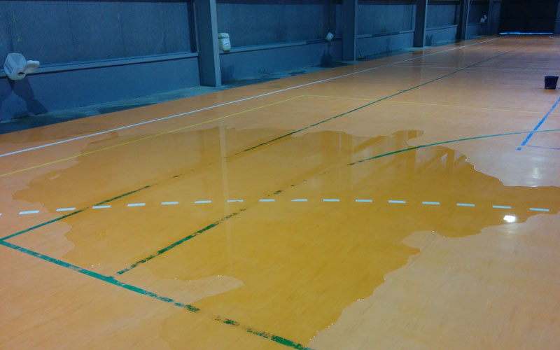 Instan a prestar atención a las “cenicientas” del deporte local: las Instalaciones Deportivas de Barrio “abandonadas y envejecidas”