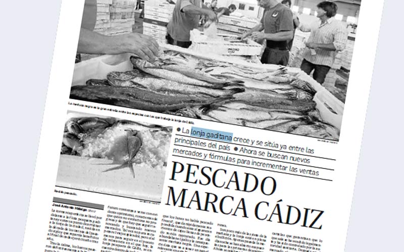 El II Premio de Periodismo Puerto de Cádiz se lo lleva José Antonio Hidalgo por un trabajo sobre la lonja gaditana