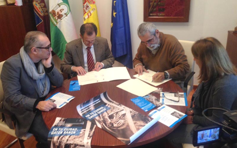En marcha una campaña de control de gatos callejeros
