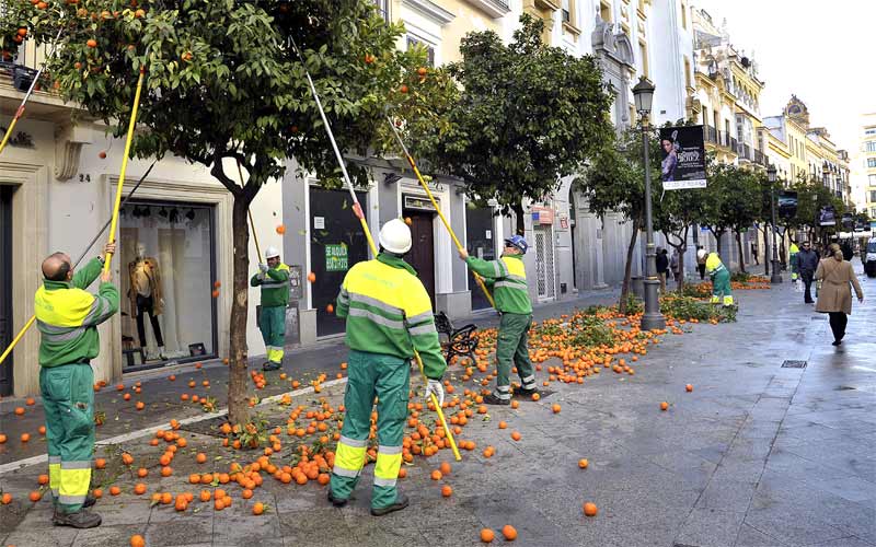 Los ayuntamientos gaditanos “contienen” sus impuestos y tasas