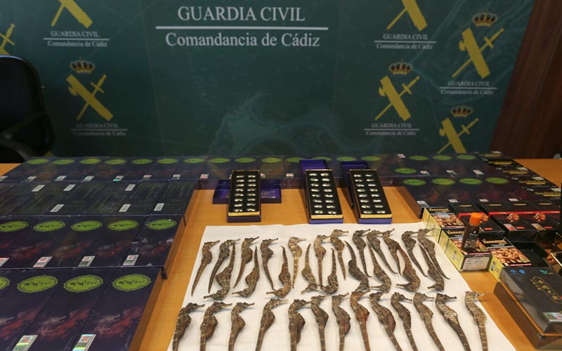 Una tienda de productos orientales en El Puerto, investigada por comercializar caballitos de mar y sustancias afrodisíacas