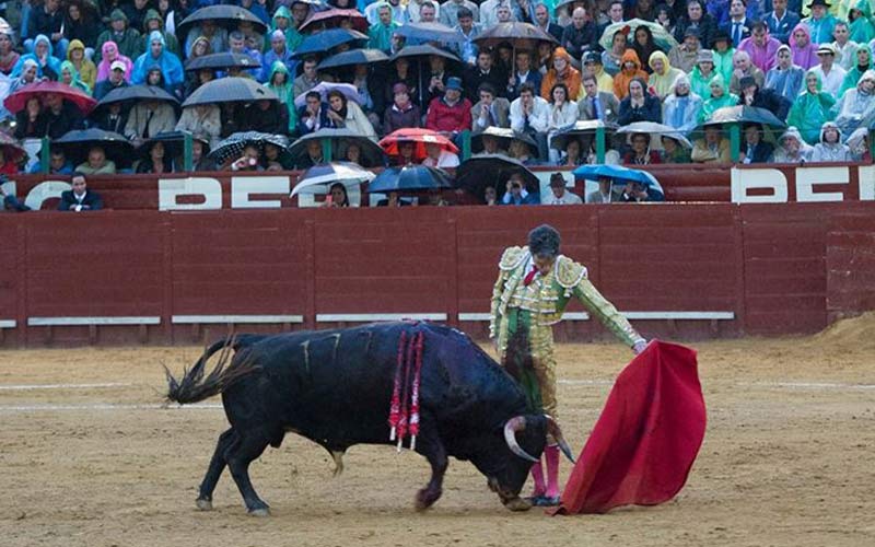 Los espectáculos taurinos sumaron el pasado año en Cádiz cerca de 80.000 espectadores, unos 9.000 más que en 2015