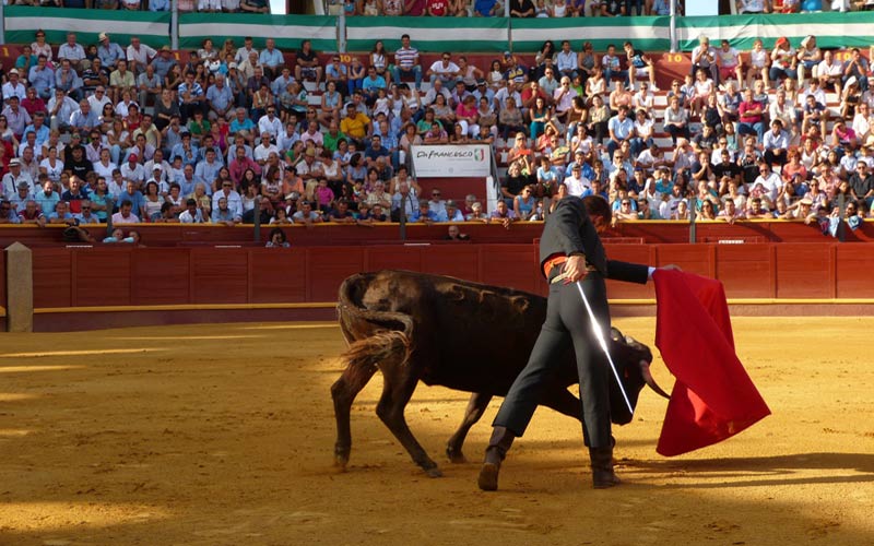 La Diputación confirma otra edición del programa de Fomento de la Cultura Taurina y Podemos condena este uso del dinero público